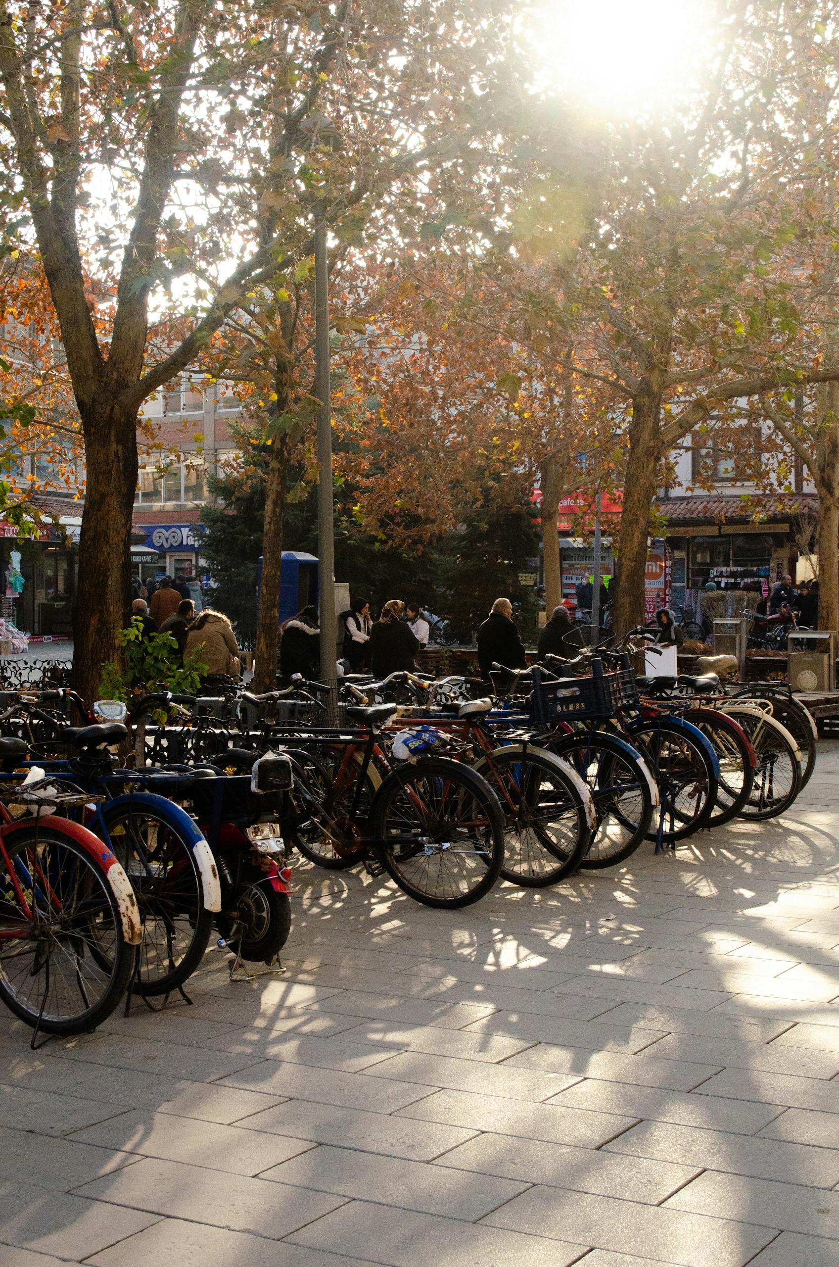 A row of parked bicycles under sunlight in a bustling city center during fall.